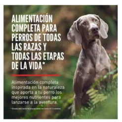Orijen Six Fish ração para cães