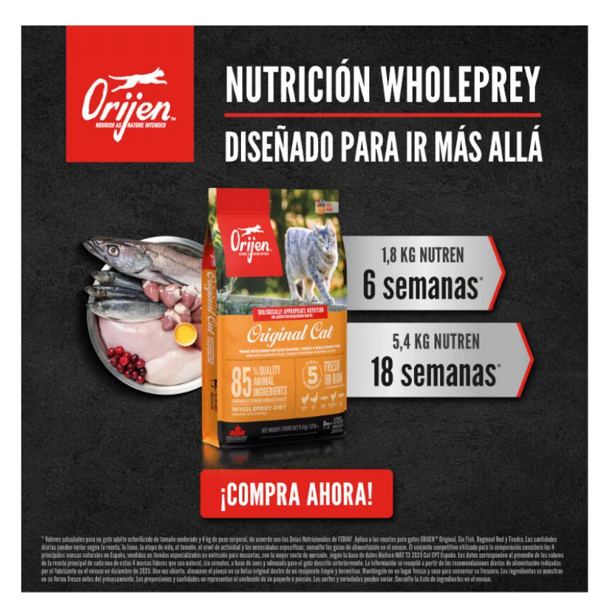 Orijen Six Fish ração para gatos e gatinhos