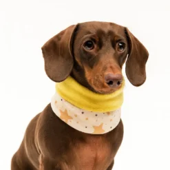 Outech Cachecol Rock para cães