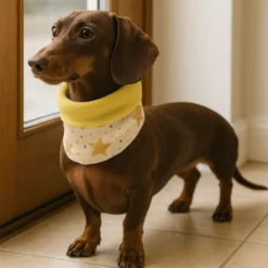 Outech Cachecol Rock para cães