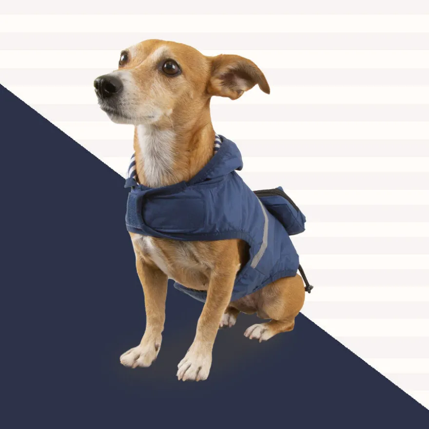 Outech Capa de chuva azul-marinho com bolso para cães