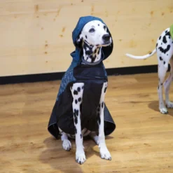 Outech Capa de Chuva Impermeável com Estampado de Ossos para cães