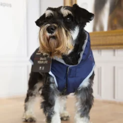 Outech Casaco Azul com Estampagem de Ossos para cães