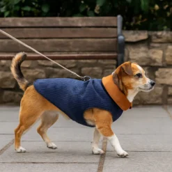 Outech Casaco Estilo Aviador Rosa e Azul para cães