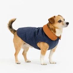 Outech Casaco Estilo Aviador Rosa e Azul para cães