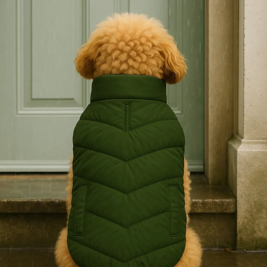Outech Casaco Impermeável Verde com Bolsos para cães