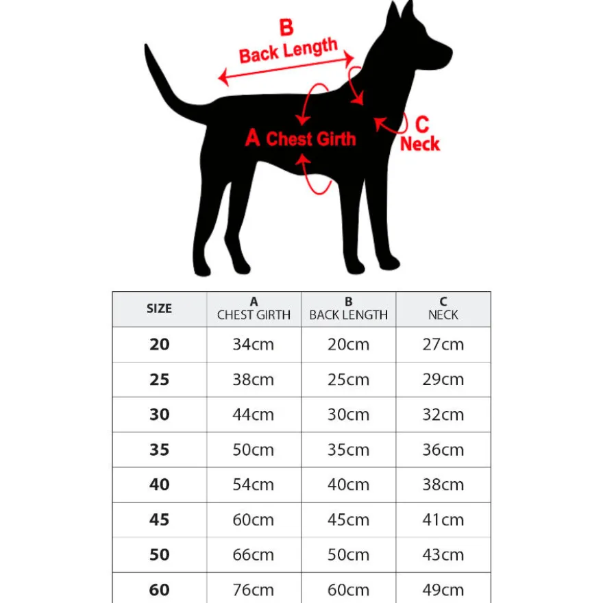 Outech Casaco Refletor Preto para cães