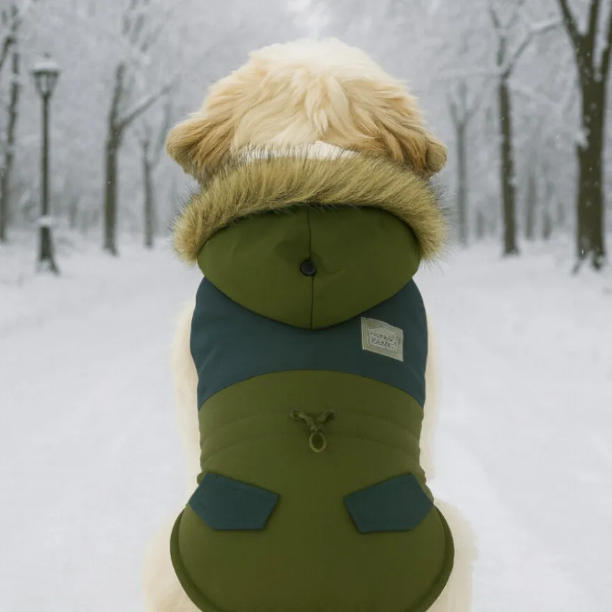 Outech Casaco Verde para cães