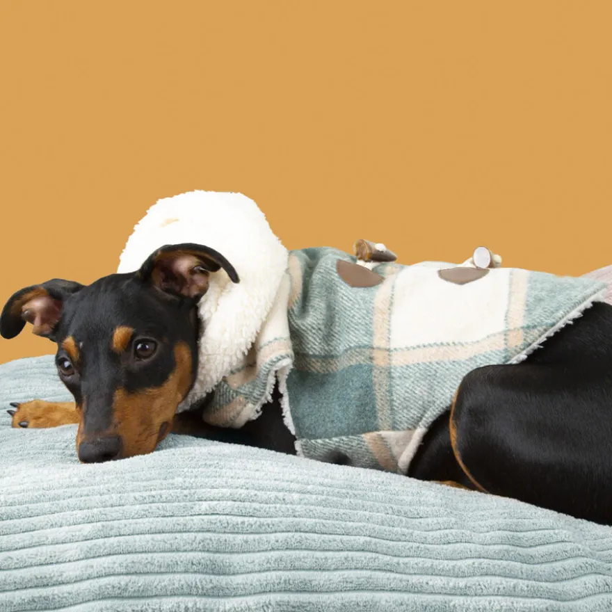 Outech Casaco Xadrez para cães