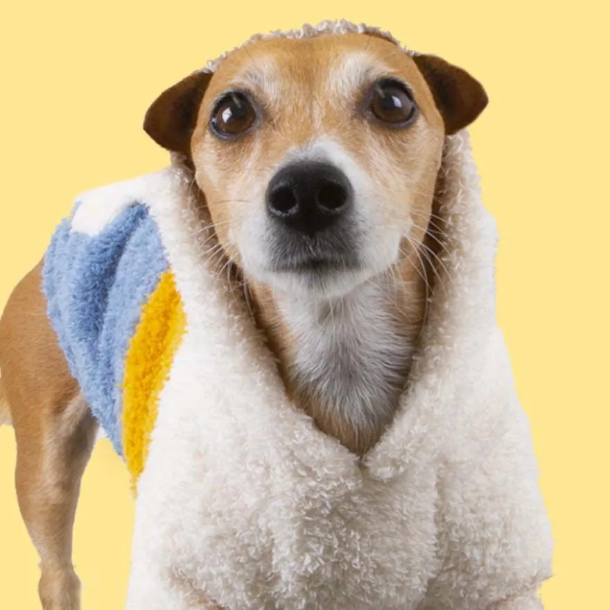 Outech Colorblock Pijama para cães