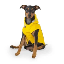Outech Fisher Capa de chuva amarela para cães