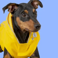 Outech Fisher Capa de chuva amarela para cães