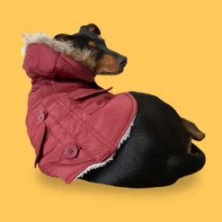 Outech Granada Casaco com Capuz para cães