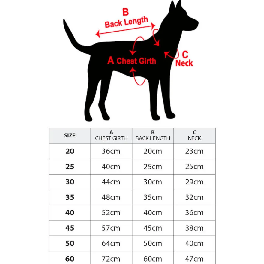Outech Hoodie Urso-Polar para cães