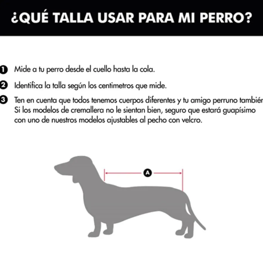 Outech Jersey Rock para cães