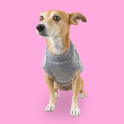 Outech Rombos Camisola de malha cinzenta para cães