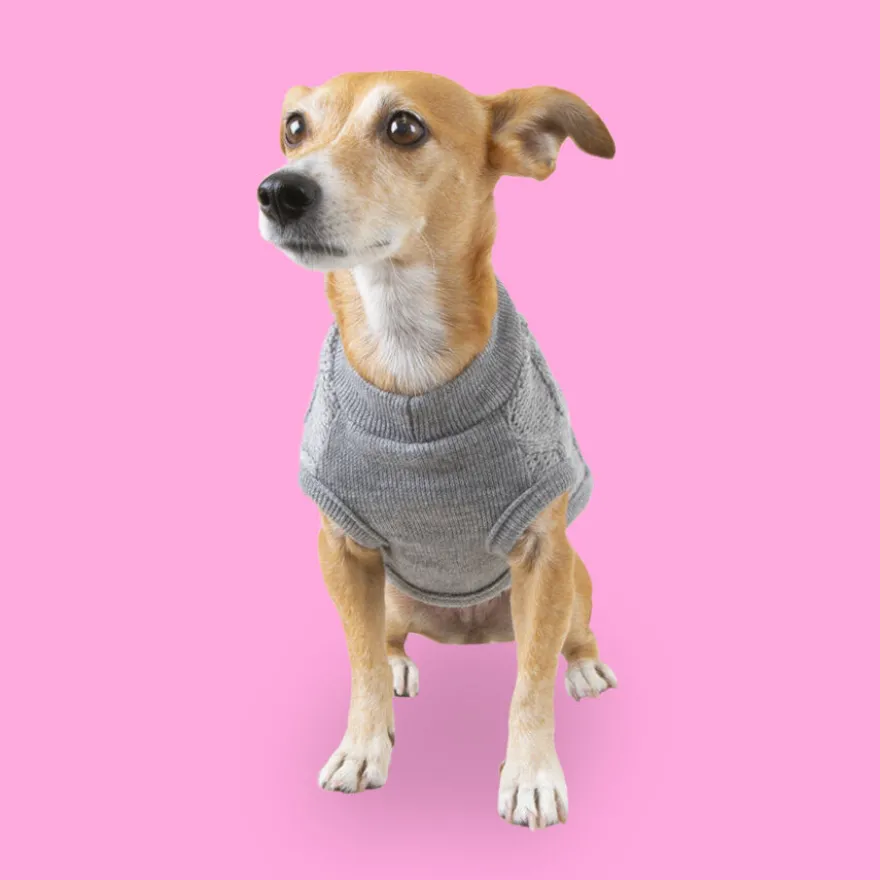Outech Rombos Camisola de malha cinzenta para cães