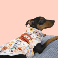 Outech Spring casaco de flores para cães