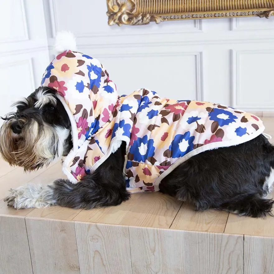Outech Spring Casaco para cães