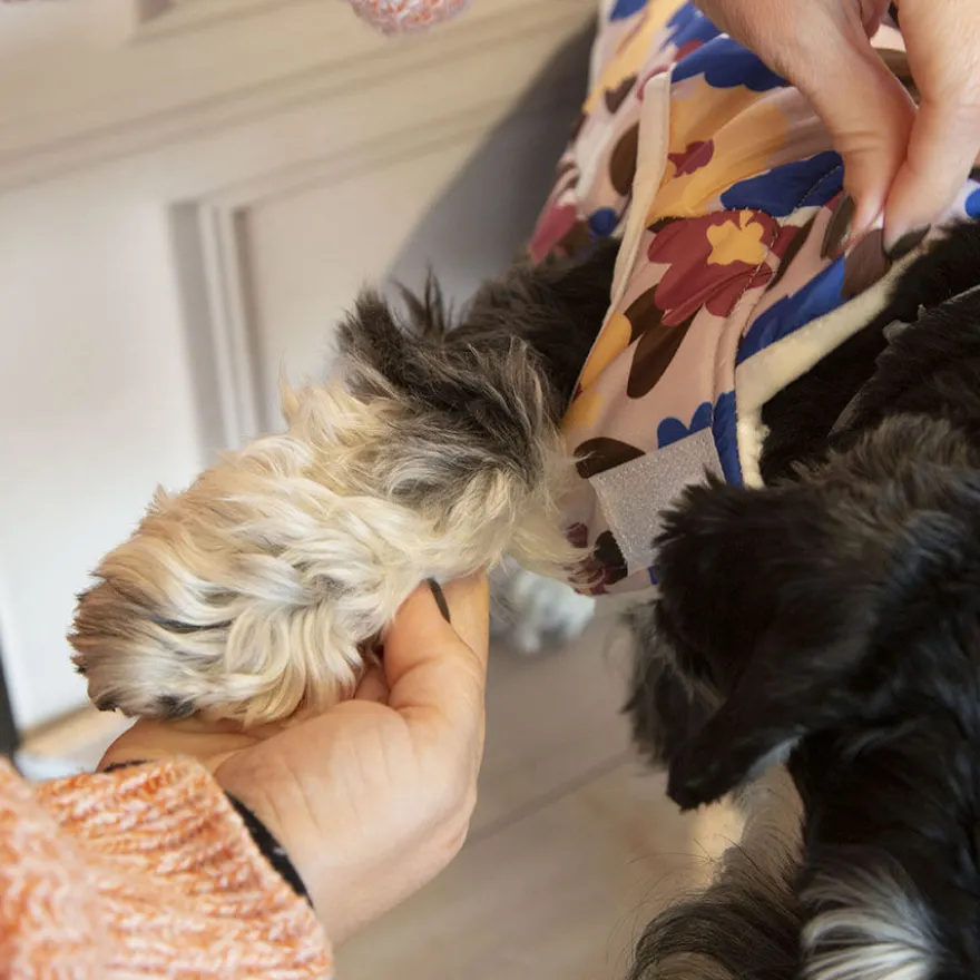 Outech Spring Casaco para cães