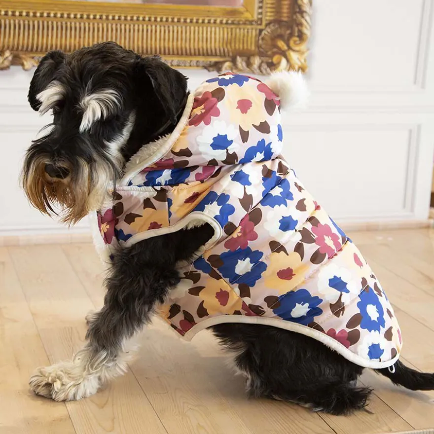 Outech Spring Casaco para cães