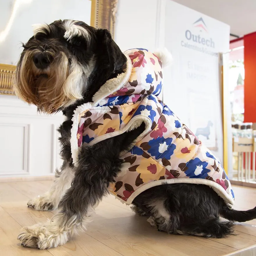 Outech Spring Casaco para cães