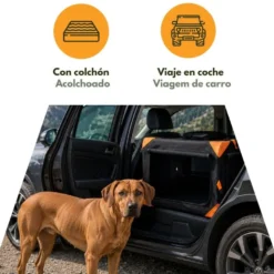 Outech X-perience Transportadora de tela para cães pequenos