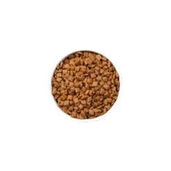 Ownat Ultra Mature Ração de frango e peru para gatos