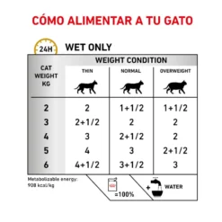 Pack 12 Saquetas Royal Canin Veterinary Diet Feline Urinary S/O 85 g