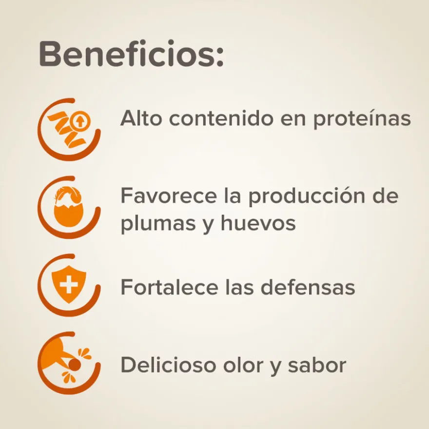 Pasta de ovo Beaphar para pássaros