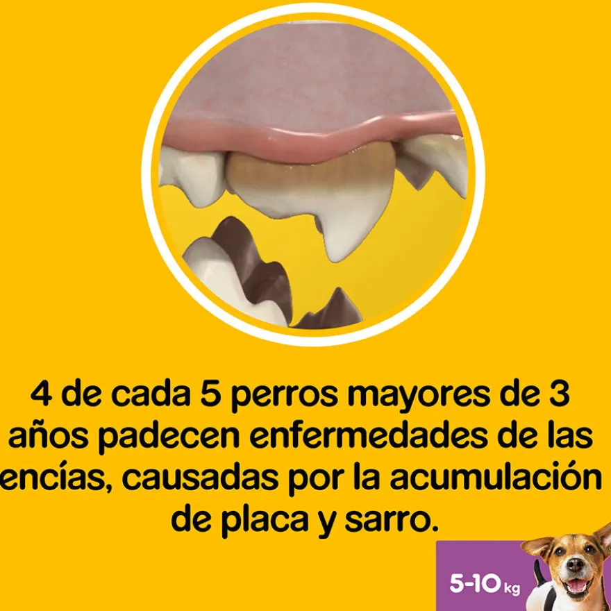 Pedigree Dentastix Fresh Snacks Dentários para Cães Pequenos