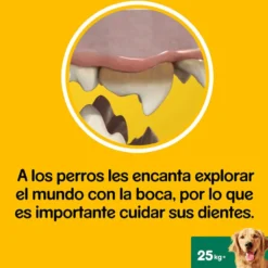 Pedigree Dentastix Snacks Dentários para cães de porte grande
