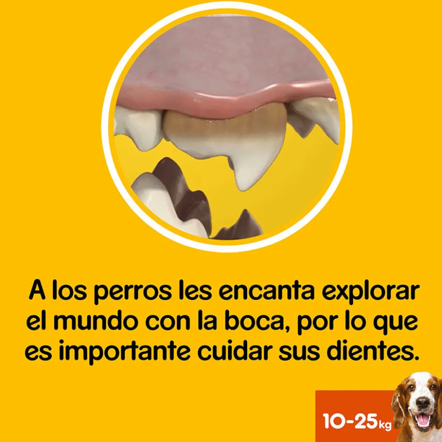 Pedigree Dentastix Snacks Dentários para cães médios