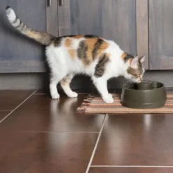 Petsafe Drinkwell® Bebedouro Automático para cães e gatos