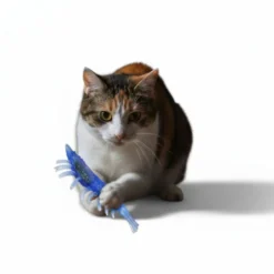 PLAYOLOGY BRINQUEDO PACK 2 LAGOSTINS PARA GATOS