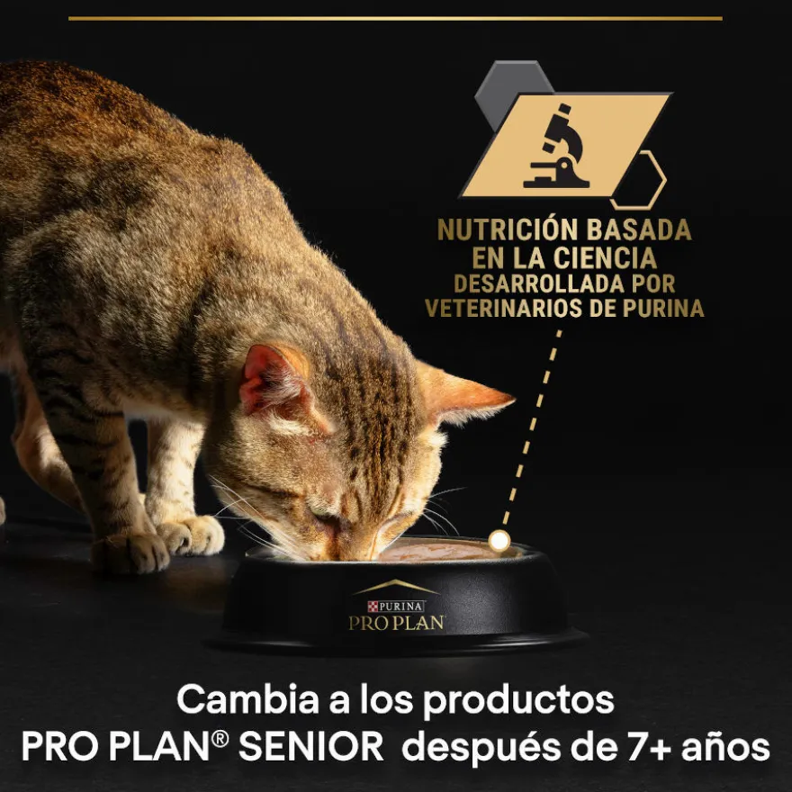 Pro Plan Adult Delicate Mousse de Peru em lata para gatos