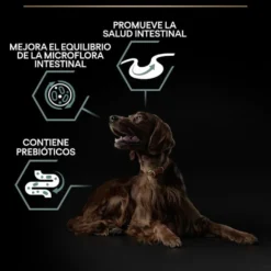 Pro Plan Adult Large Athletic Digestão Cordeiro ração para cães