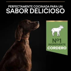 Pro Plan Adult Large Athletic Digestão Cordeiro ração para cães