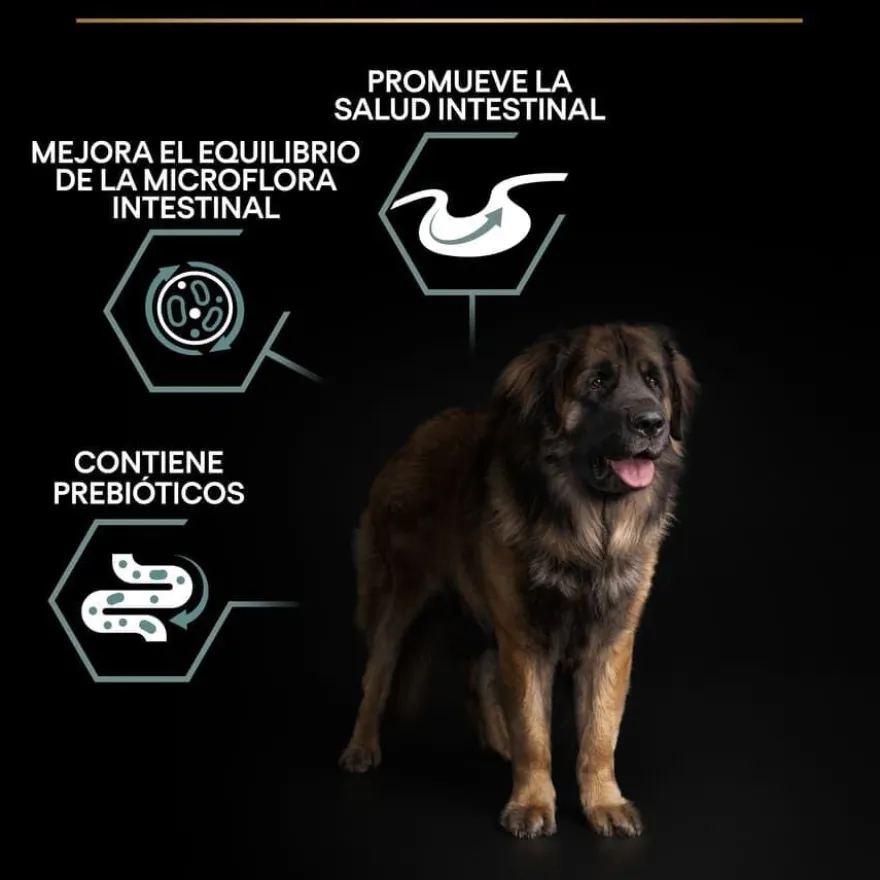 Pro Plan Adult Large Robust Digestão Cordeiro ração para cães