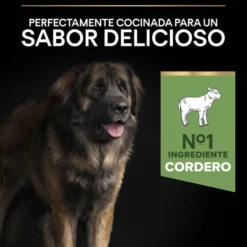 Pro Plan Adult Large Robust Digestão Cordeiro ração para cães