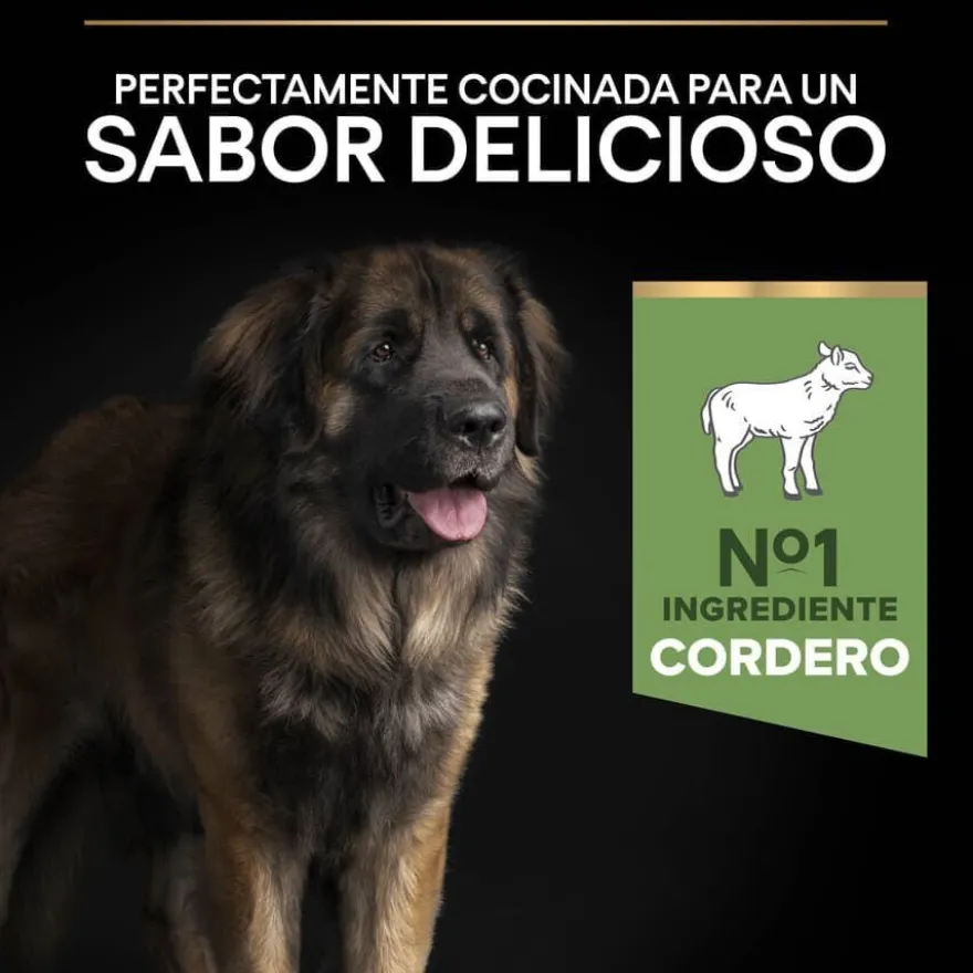 Pro Plan Adult Large Robust Digestão Cordeiro ração para cães