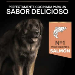 Pro Plan Adult Large Robust Peles Sensíveis Salmão ração para cães