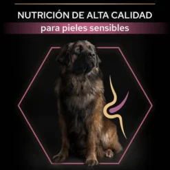 Pro Plan Adult Large Robust Peles Sensíveis Salmão ração para cães