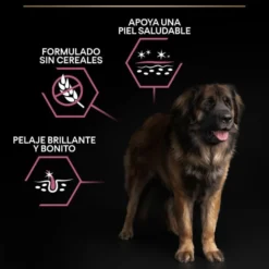 Pro Plan Adult Large Robust Peles Sensíveis Salmão ração para cães