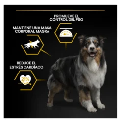 Pro Plan Adult Light/Sterilised Frango ração para cães