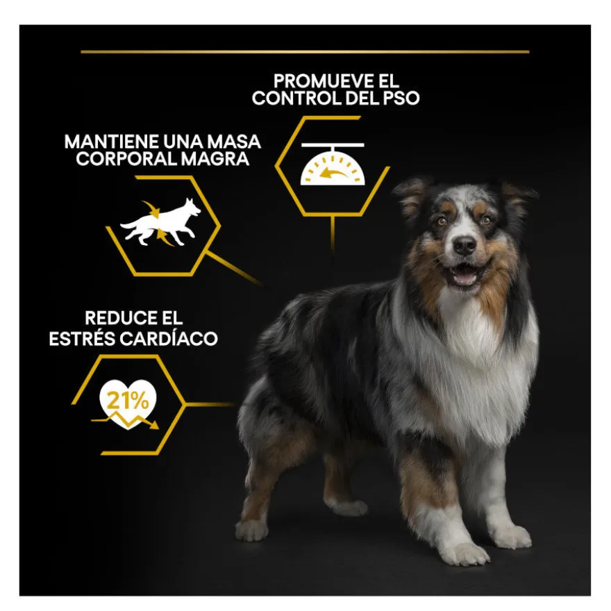 Pro Plan Adult Light/Sterilised Frango ração para cães