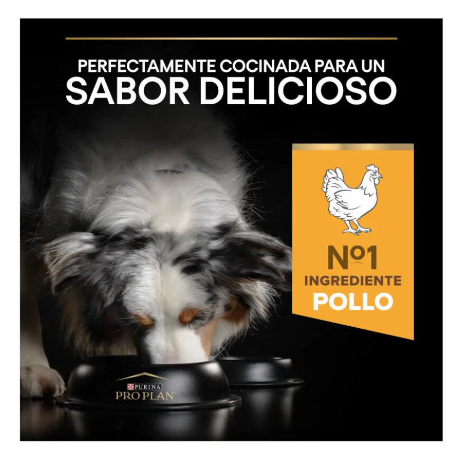 Pro Plan Adult Light/Sterilised Frango ração para cães