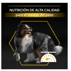 Pro Plan Adult Light/Sterilised Frango ração para cães