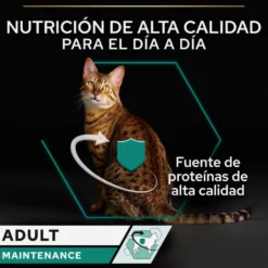 Pro Plan Adult Maintenance Frango em lata para gatos