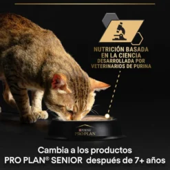 Pro Plan Adult Maintenance Frango em lata para gatos